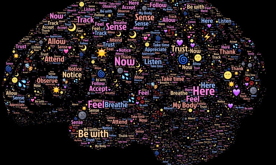 Where Does Language Exist in the Brain